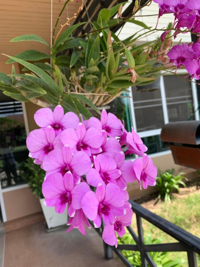 Hotel The Orchid House Nong Kung Yai Exteriér fotografie